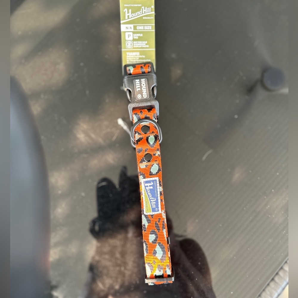 Orange Dog Collar